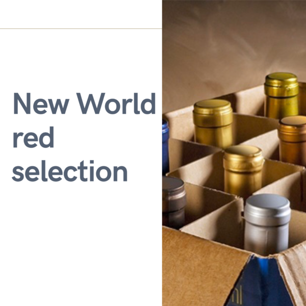 New World Reds (6 bottles)