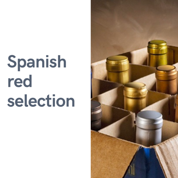 Spanish Reds (6 bottles)