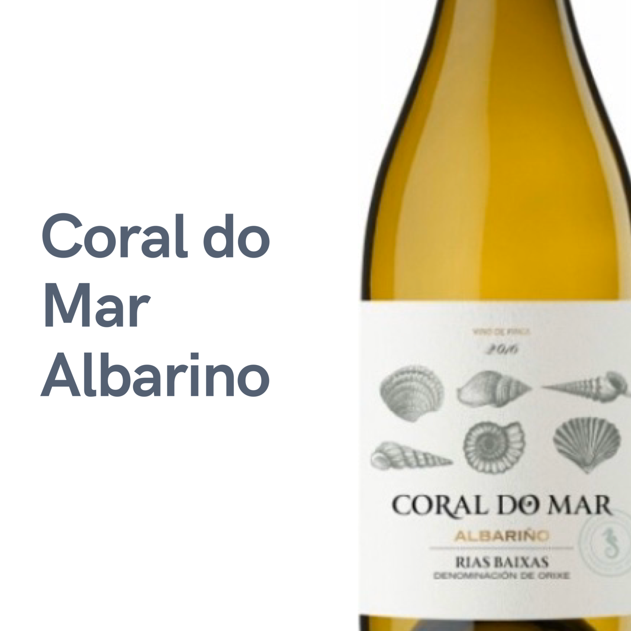 Coral do Mar Albarino (6 bottles) | The Wine Cellar