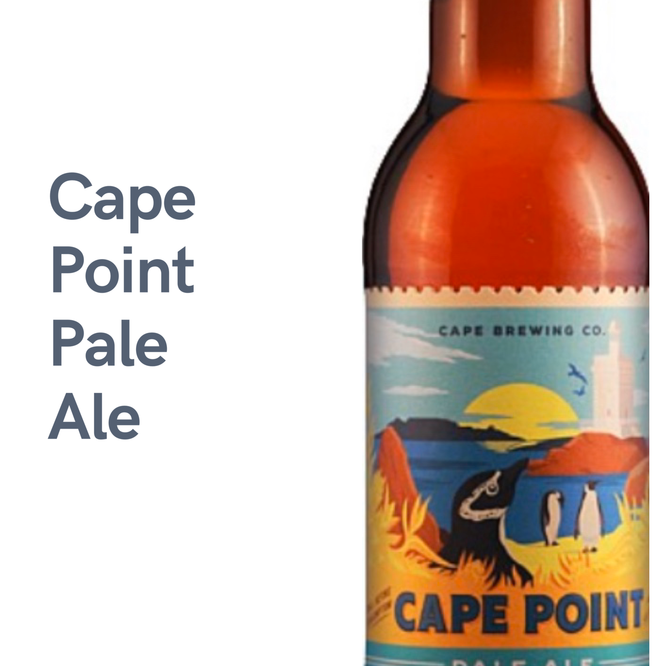 Cape Point Pale Ale (12 bottles) | The Wine Cellar