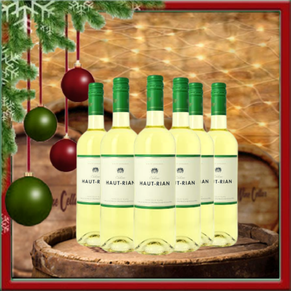 Chateau Haut Rian Blanc (6 bottles)