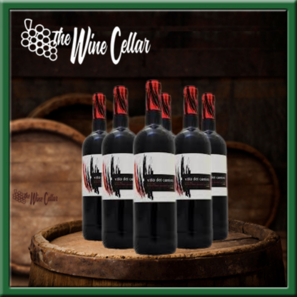 Villa del Camino Rioja (6 bottles)